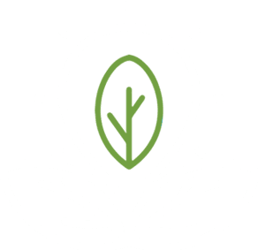 Five Boro Energy Connect – NYISO Five Boro Energy Connect - NYISO